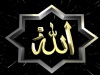   Love Allah