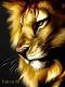  ahmed151