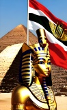   eGyMeDo