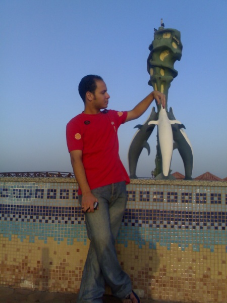dolphen
