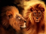 Animal wallpapers+lion wallpapers+mobile wallpapers+pc wallpapers+mobile themes+pc themes 15bf