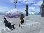 D:\GAMES\Silkroad\ScreenShot